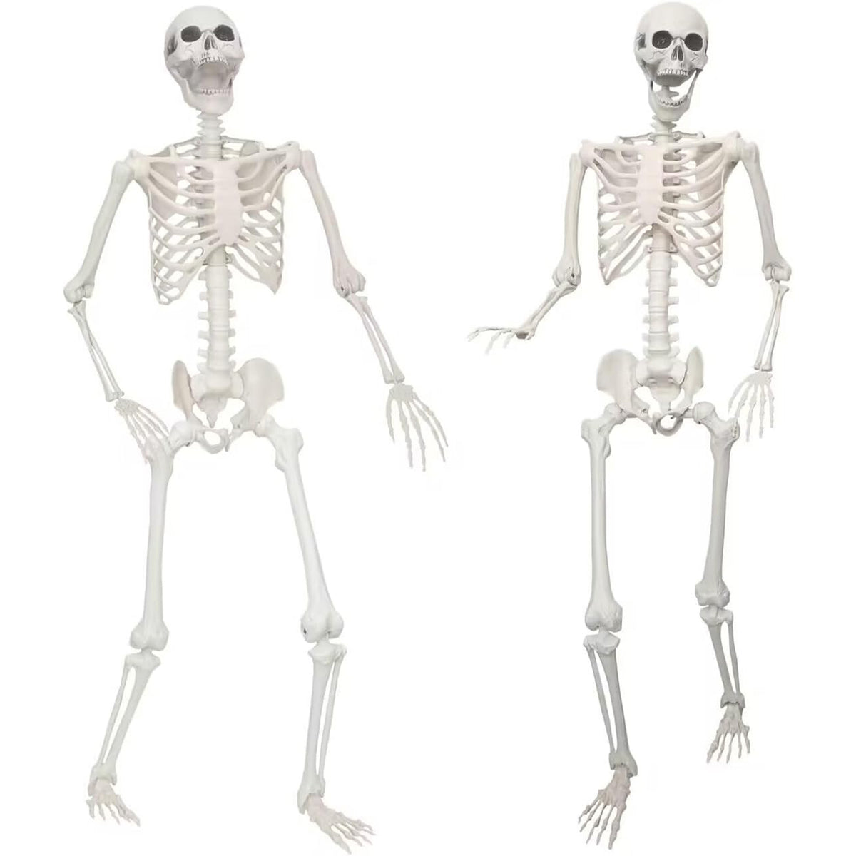 Lodou 2 pack 5.4Ft Skeleton for Halloween