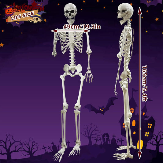 Lodou 5.4Ft Skeleton for Halloween