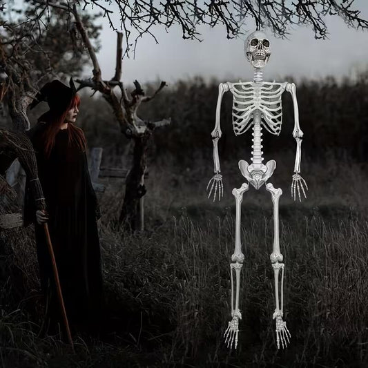5.4Ft Skeleton for Halloween