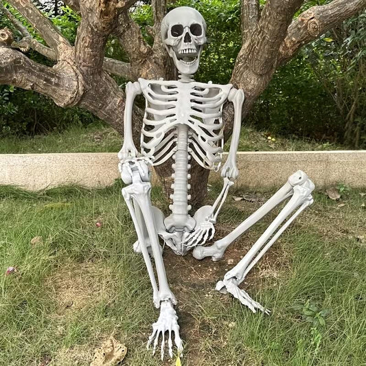 5.4Ft Skeleton for Halloween