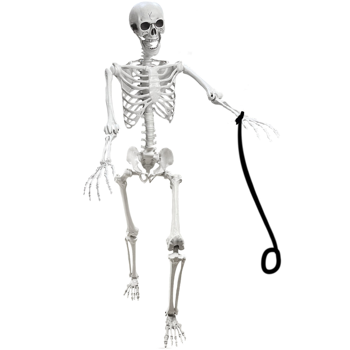 Lodou 5.4Ft Skeleton for Halloween