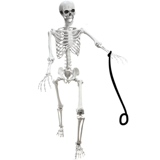 Lodou 5.4Ft Skeleton for Halloween