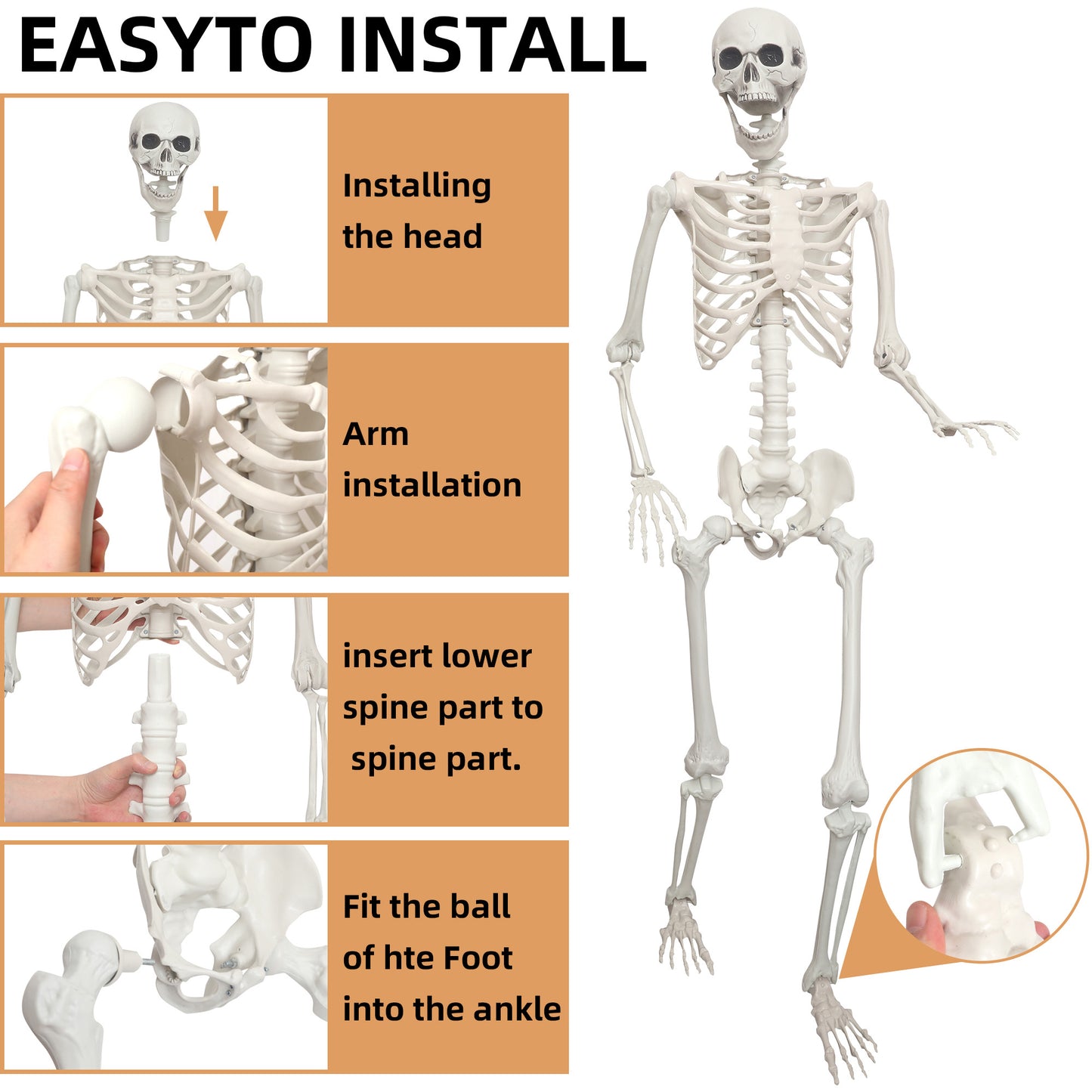 Lodou 2 pack 5.4Ft Skeleton for Halloween