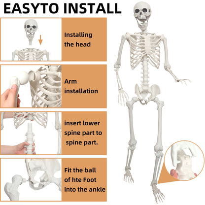 Lodou 2 pack 5.4Ft Skeleton for Halloween