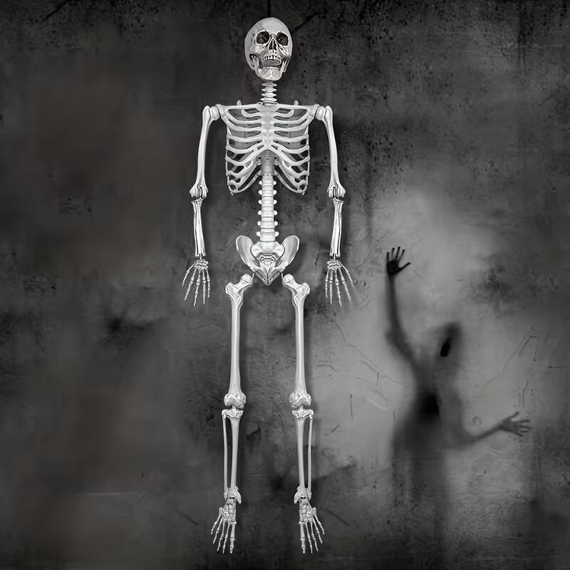 5.4Ft Skeleton for Halloween