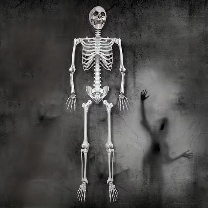 5.4Ft Skeleton for Halloween