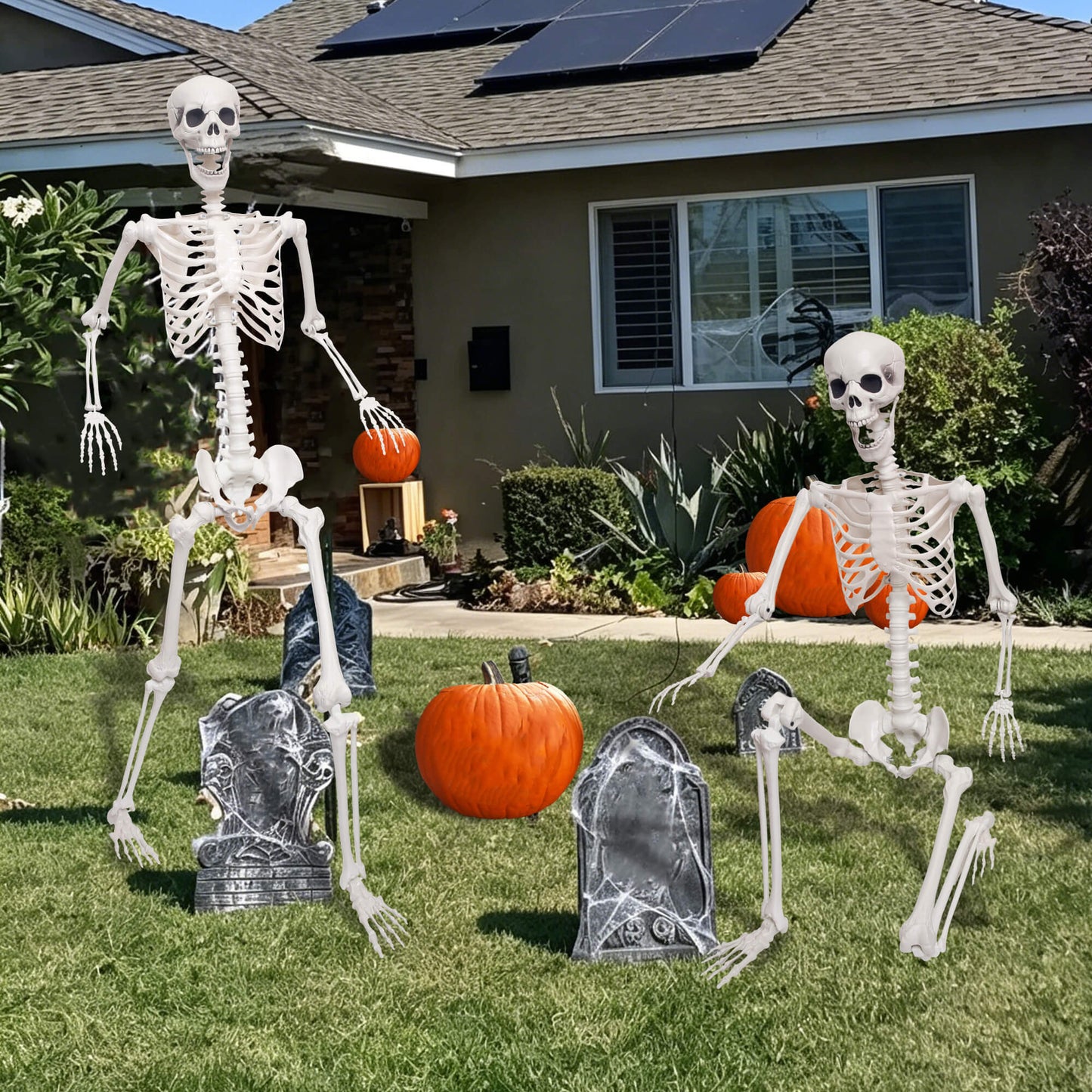 Lodou 5.9Ft Skeleton for Halloween