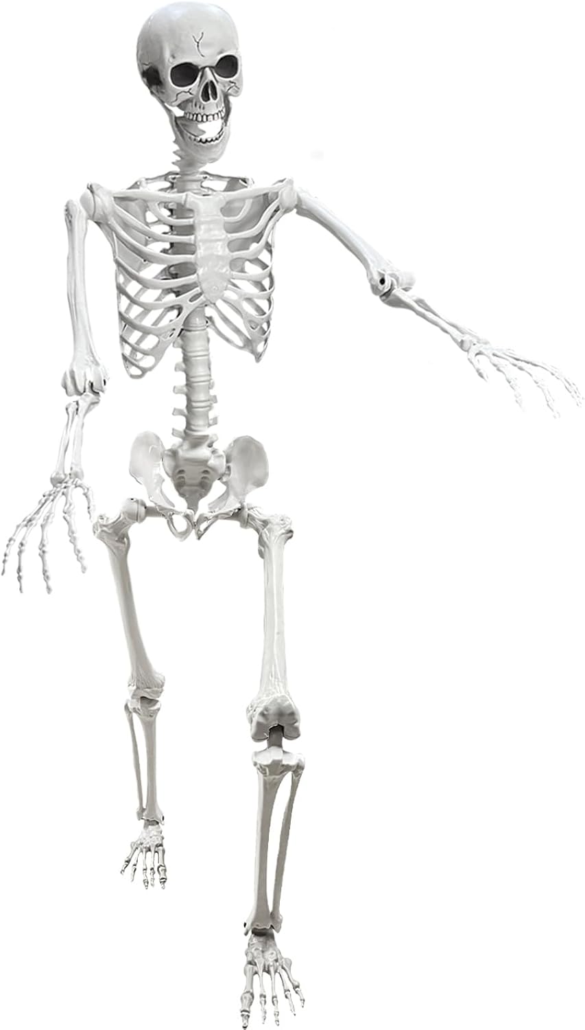 Lodou 5.4Ft Skeleton for Halloween