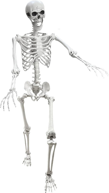 Lodou 5.4Ft Skeleton for Halloween