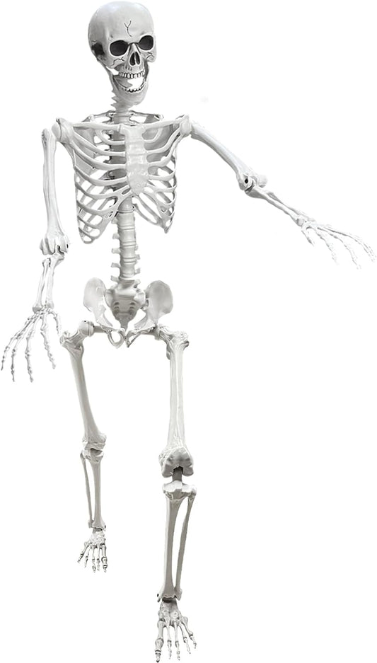 Lodou 5.4Ft Skeleton for Halloween