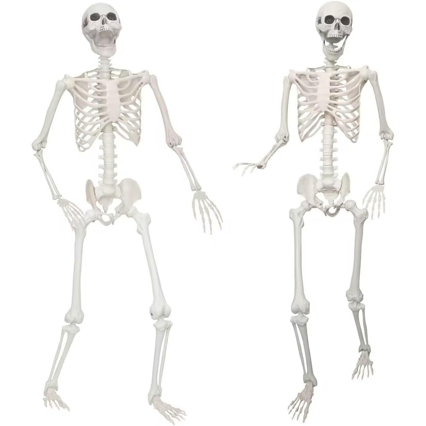 Lodou 2 pack 5.4Ft Skeleton for Halloween
