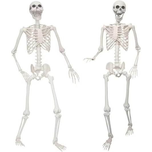 Lodou 2 pack 5.4Ft Skeleton for Halloween