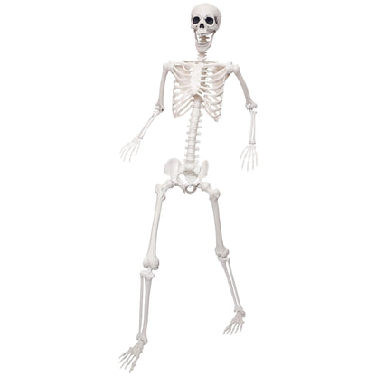 Lodou 5.9Ft Skeleton for Halloween