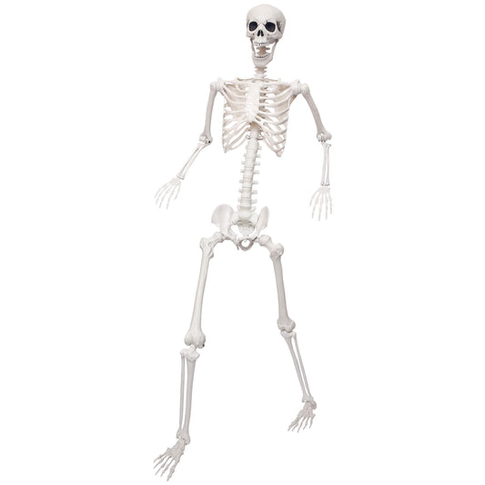 Lodou 5.9Ft Skeleton for Halloween