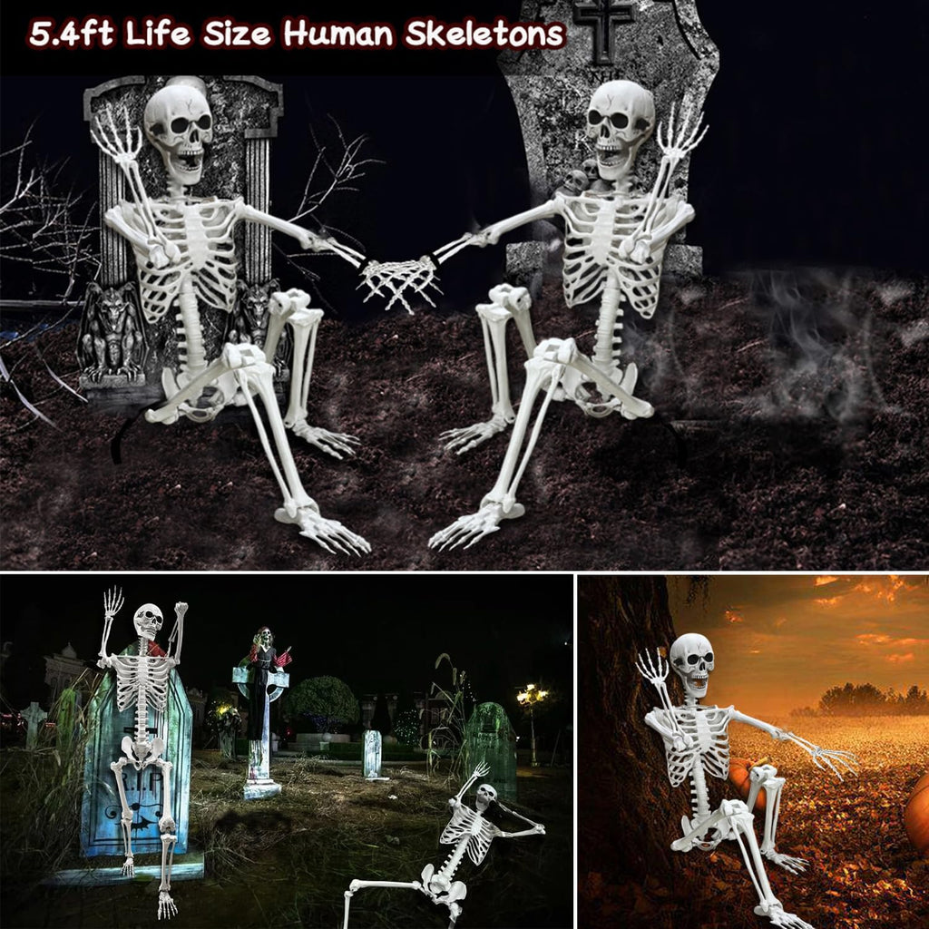 Lodou 5.4Ft Skeleton for Halloween
