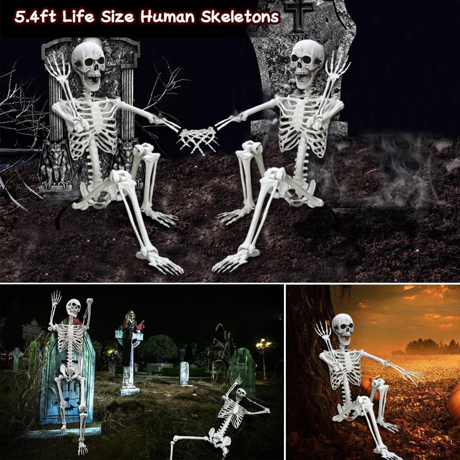 Lodou 5.4Ft Skeleton for Halloween