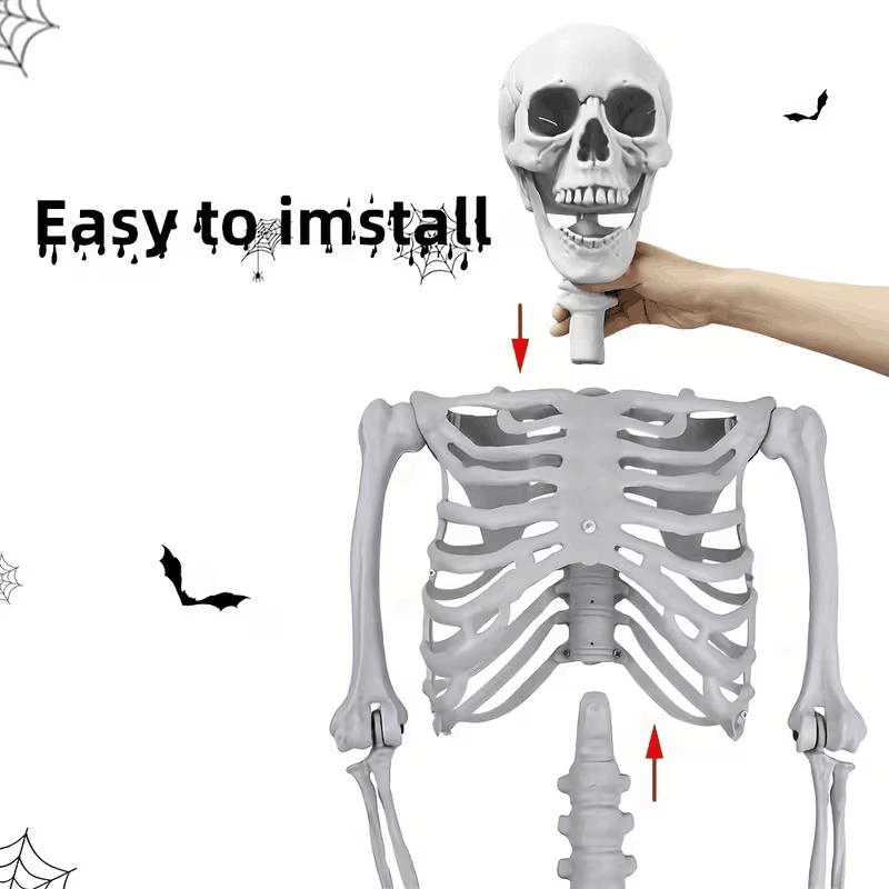 5.4Ft Skeleton for Halloween
