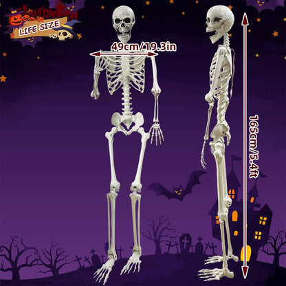 Lodou 5.4Ft Skeleton for Halloween
